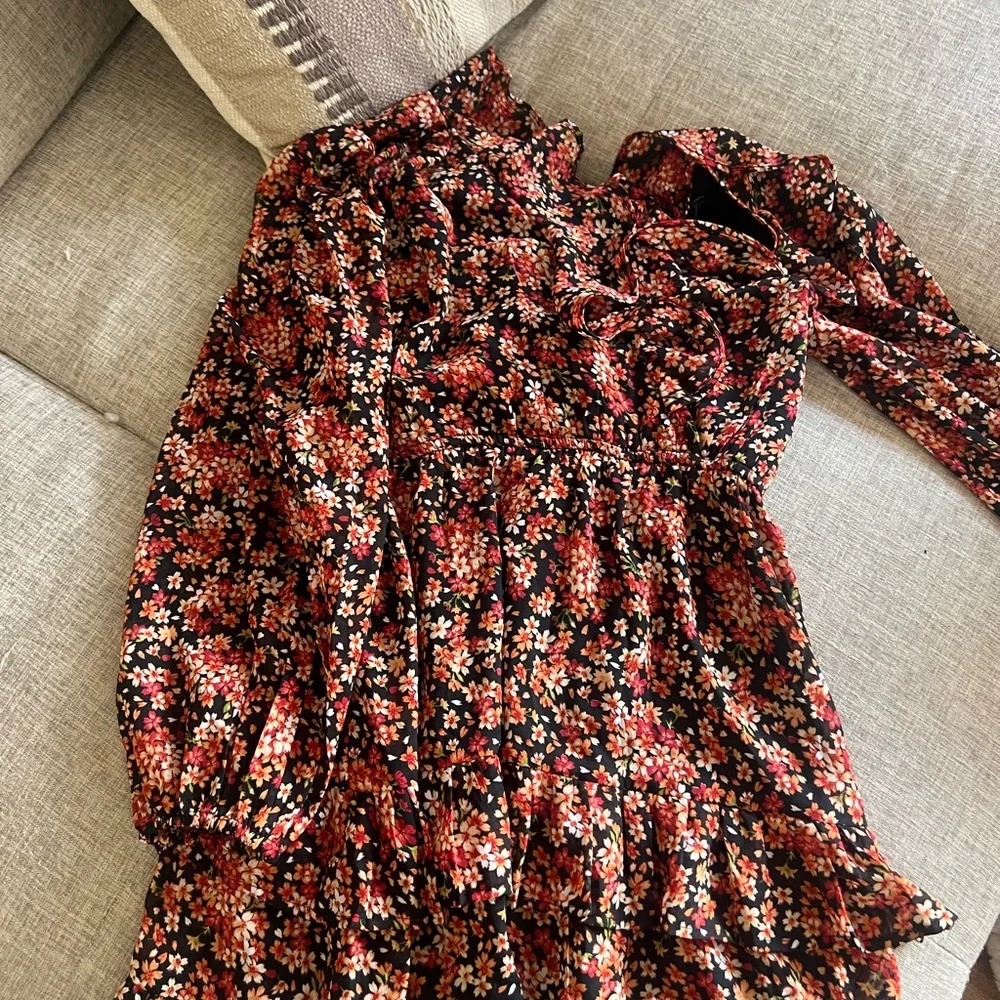 NASTY GAL fall dress - Picture 14 of 14